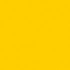 Lemon Punch Vinyl Flooring 9947