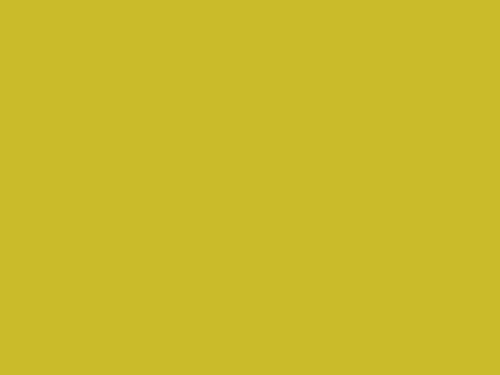 Lime Crush Vinyl Flooring 9940 Lime Crush Vinyl Flooring 9940