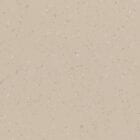 Earthenware Vinyl Flooring 8641