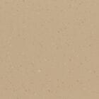 Pecan Crunch Vinyl Flooring 8646