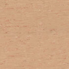 Buckwheat Vinyl Flooring 8850