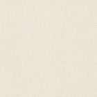 Vanilla Vinyl Flooring 6253