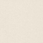 Vanilla Vinyl Flooring 5221