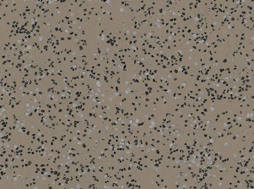 Taupe Vinyl Flooring 4610 Taupe Vinyl Flooring 4610