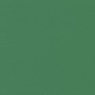 Green Vinyl Flooring 7515