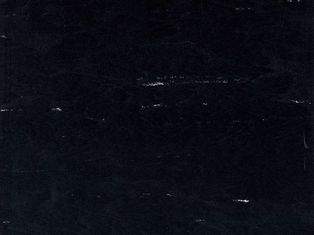 Black Tulip Vinyl Flooring 6040 Black Tulip Vinyl Flooring 6040