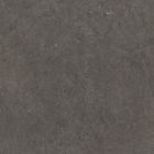 Dark Grey Concrete Vinyl Flooring 5069
