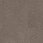 Warm Micro Terrazzo Vinyl Flooring 5125