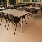 Buckwheat Vinyl Flooring 8850