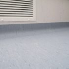 Wild Lilac 8650 gallery