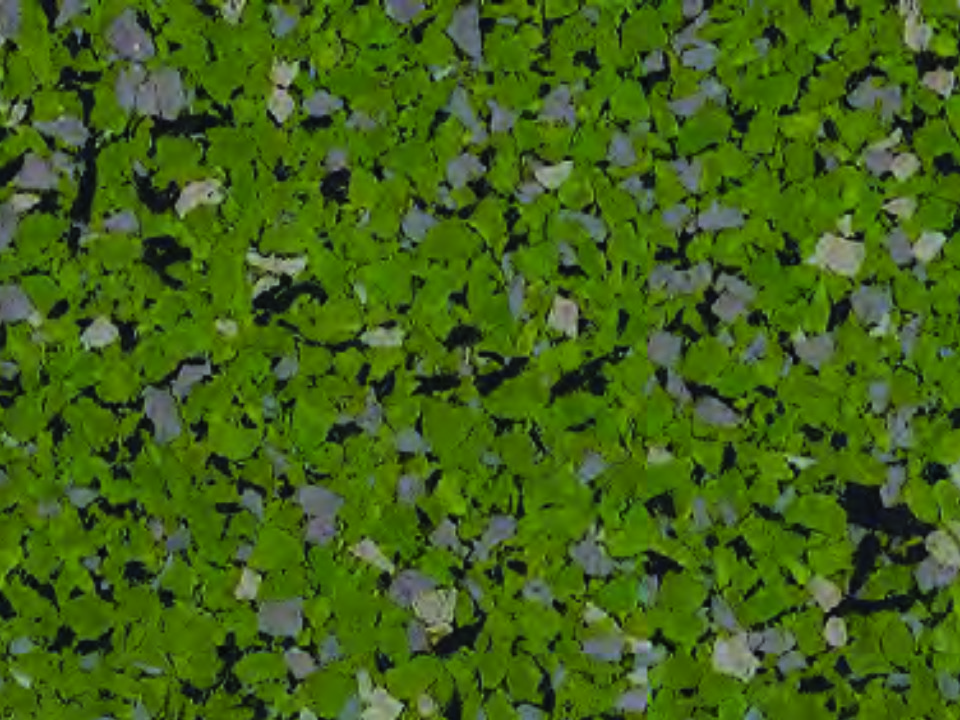 Green Turtle Rubber Flooring Tile 2613 Green Turtle Rubber Flooring Tile 2613