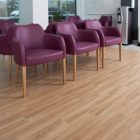 American Oak 3380