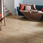 Cashmere Oak 22441 gallery