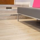 Champange Oak 9874 gallery