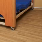 European Oak 3347 gallery