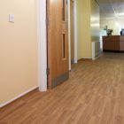 European Oak 3347 gallery