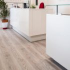 Planed White Oak 9872 gallery
