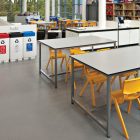 Silver Birch 4020 gallery