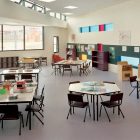 Silver Birch 4020 gallery