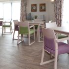 Tropical Pine 3376 gallery