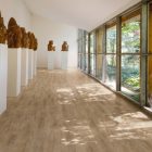 Natural Ash 2511 gallery