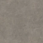 Polyflor Silentflor PUR Pewter Cement 8959